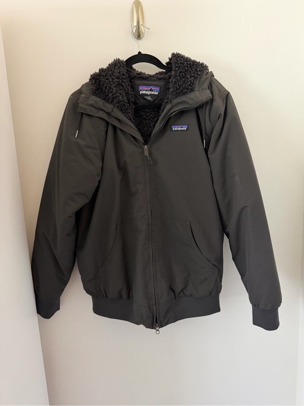 Patagonia Men's Black Hooded Sherpa-Lined Puffer Jacket